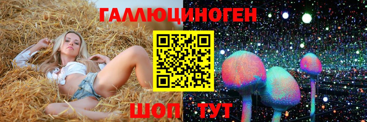Псилоцибиновые грибы Psilocybine cubensis Россошь