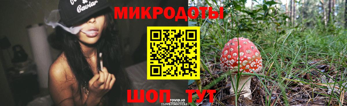 Россошь  Галлюциногенные грибы Cubensis  Вход с VPN 